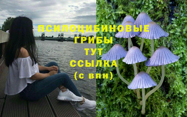 марки lsd Рославль