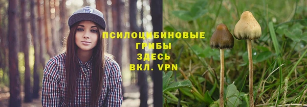 герыч Протвино
